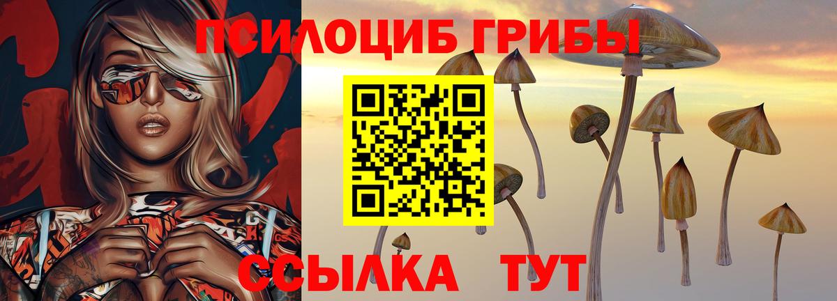 Псилоцибиновые грибы ЛСД Каспийск